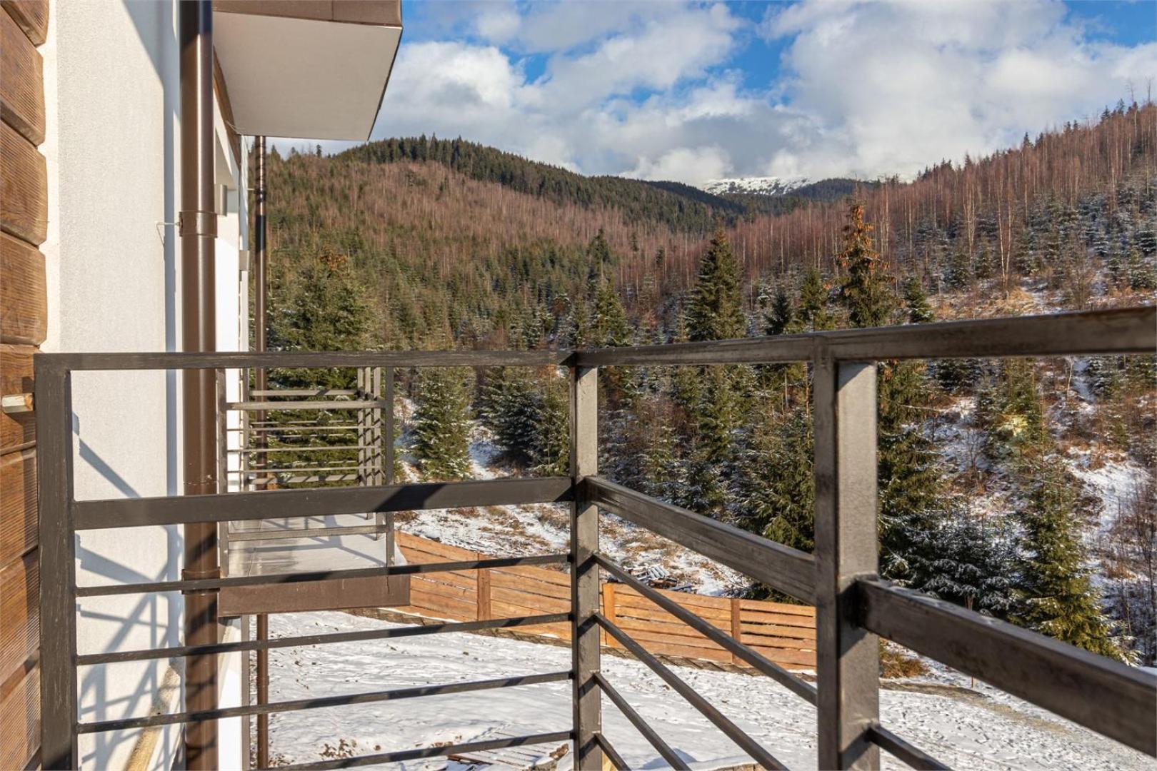 Hotel Forest